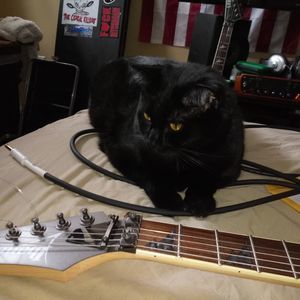 Meet your Posher, Robert